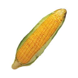 Corn